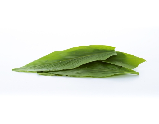 Daun Kunyit Mr. Green image 2