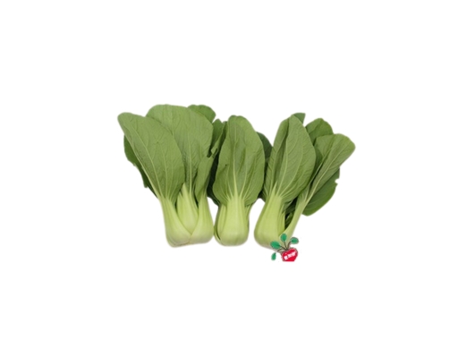 Siew Pak Choy Agape Organic image 0