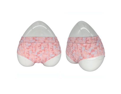 Scarlet Seamless Microfibre Maxi Panties (HJ3702) | myaeon2go