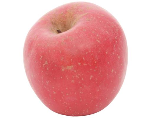 China Fuji Apple XL