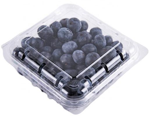 Jumbo Blueberry  ( 1 Pack )