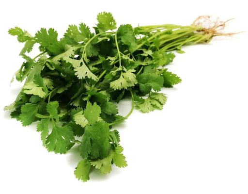 Coriander Leaves Segar2go