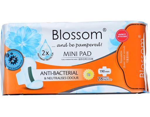Antibacterial Day Long Mini Pad Wing 190Mm Blossom