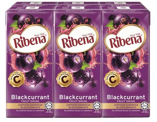 RTD Blackcurrant Ribena