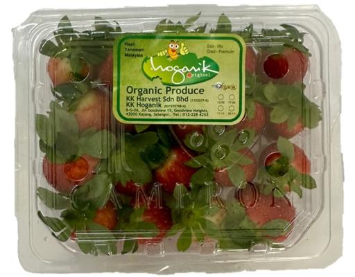 Organic Strawberry KK Hoganik
