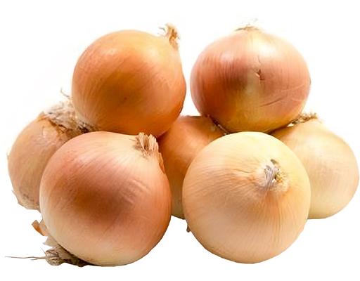 Yellow Onion