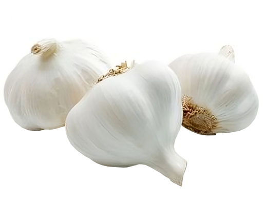 White Garlic
