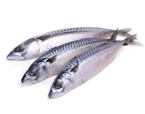 Fish & Seafood | Fresh Seafood Online – myAEON2go
