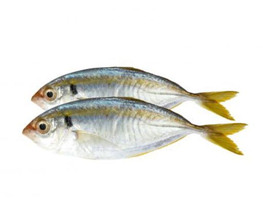 Fish & Seafood | Fresh Seafood Online – myAEON2go