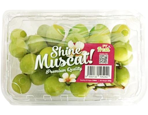 China Shine Muscat Green Grapes