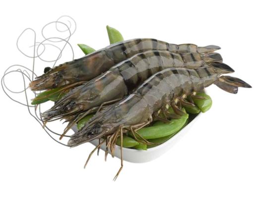 Udang Harimau XXL
