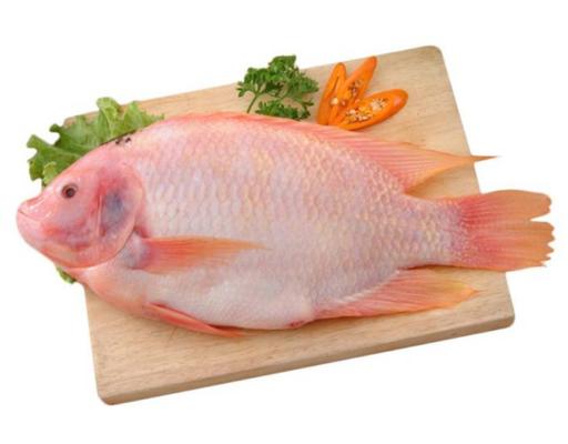 Fish & Seafood | Fresh Seafood Online – myAEON2go