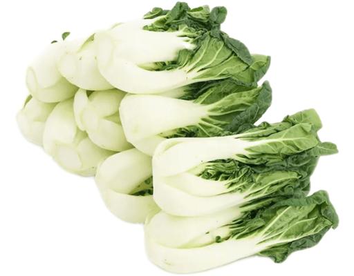 Milky White Pak Choy Segar2go