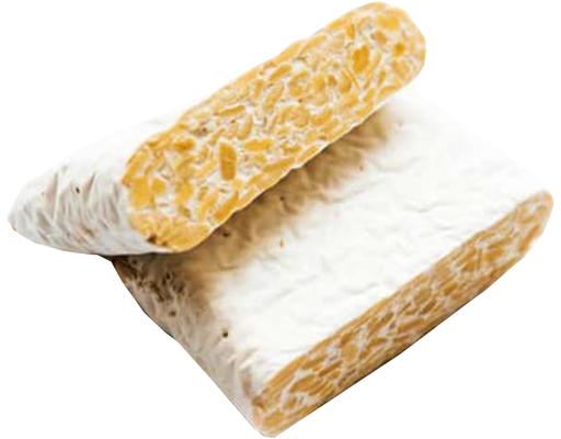 Tempeh Edsam