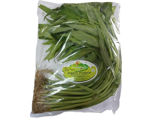Organic Kangkung KK Hoganik