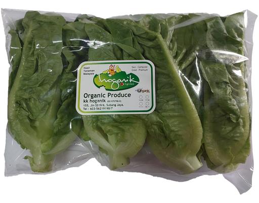 Organic Mini Cos Lettuce KK Hoganik