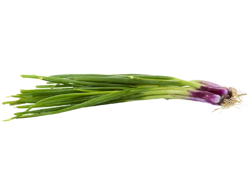Spring Onion Edsam