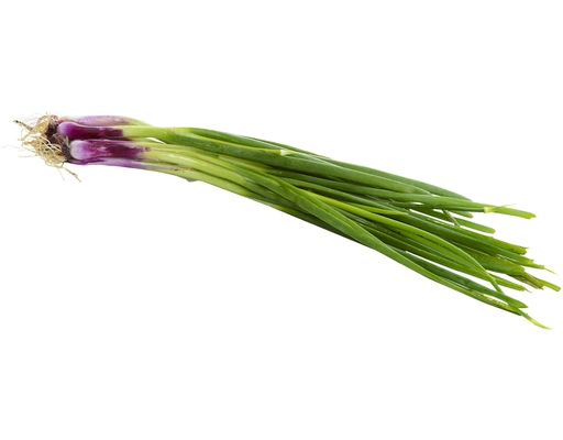 Spring Onion Chitose