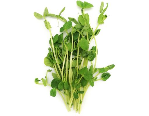 Organic Pea Sprout Zenxin