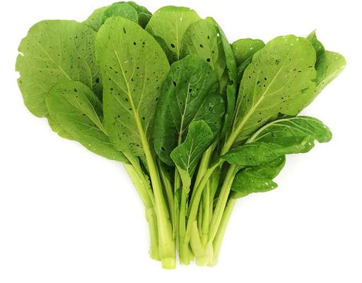 Organic Hong Kong Choy Sum Zenxin