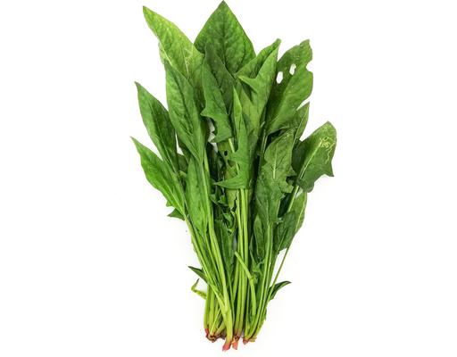Organic Spinach Zenxin
