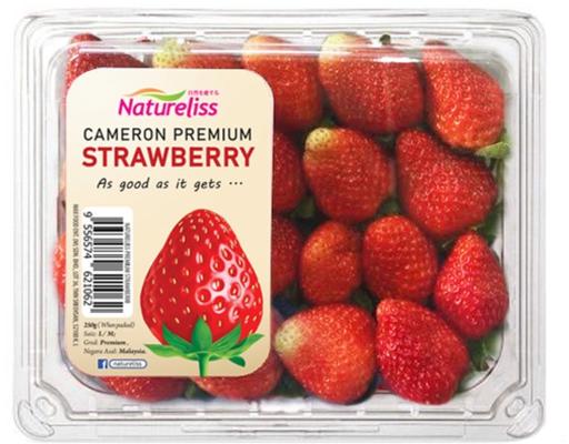 Cameron Highlands Strawberry First Pick