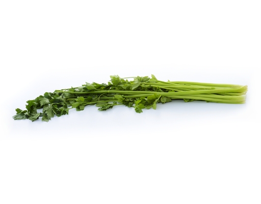 Chinese Celery (Daun Sup) Segar2go