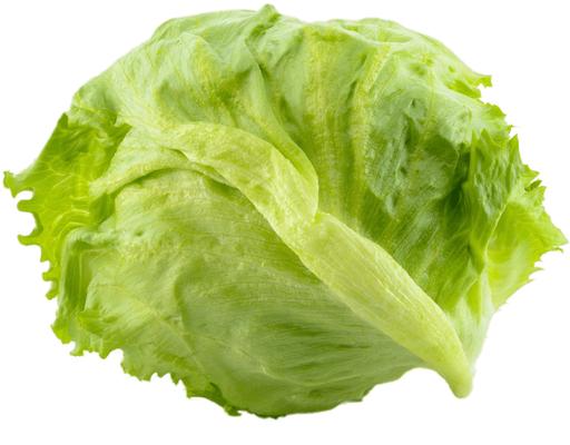 Cameron Iceberg Lettuce Segar2go