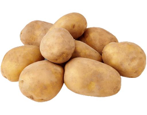 Holland Potato (1 Pack)