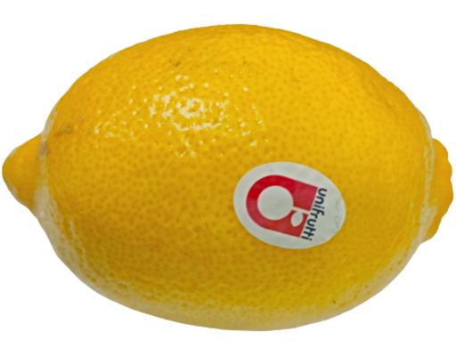 South Africa Lemon