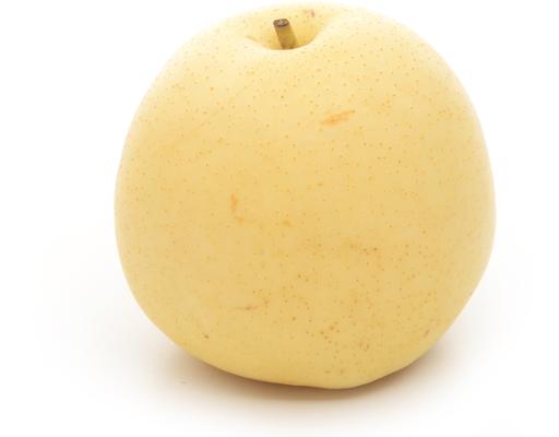 China Century Pear XL