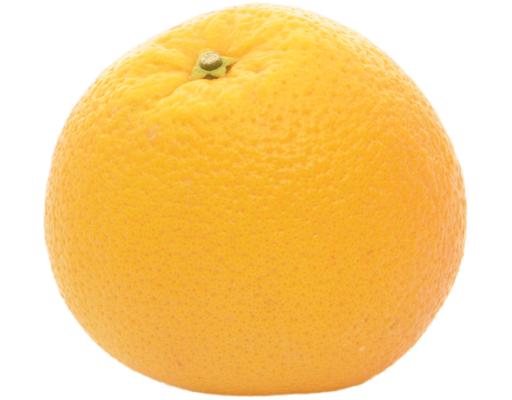South Africa Navel Orange