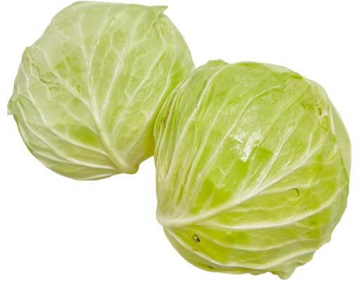Cameron Round Cabbage