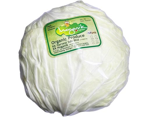 Sweet Cabbage Organic KK Hoganik