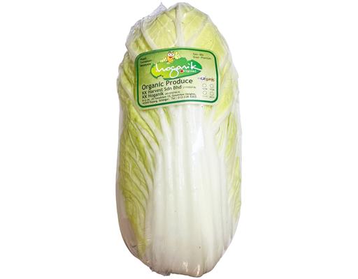 Chinese Cabbage Organic KK Hoganik