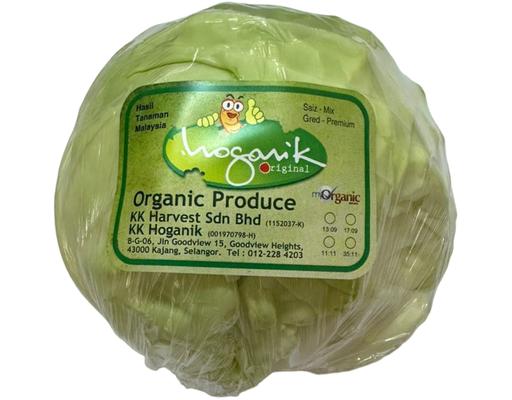 Beijing Sweet Cabbage Organic KK Hoganik