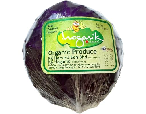Red Cabbage Organic KK Hoganik