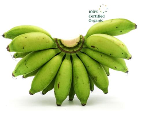 Organic Banana Zenxin