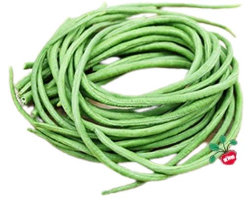 Long Bean Agape Organic