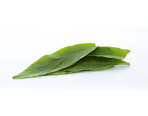 Daun Kunyit Mr. Green