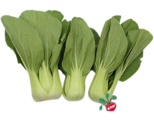 Siew Pak Choy Agape Organic